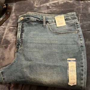 Terra & Sky Petite High Rise Blue Jeans